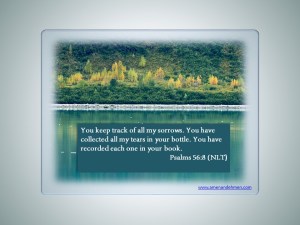 He Collects Our Tear Slide Art for Blog 5.10.15