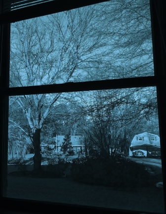 winter window cropped