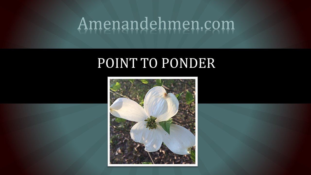 Point To Ponder amenandehmen