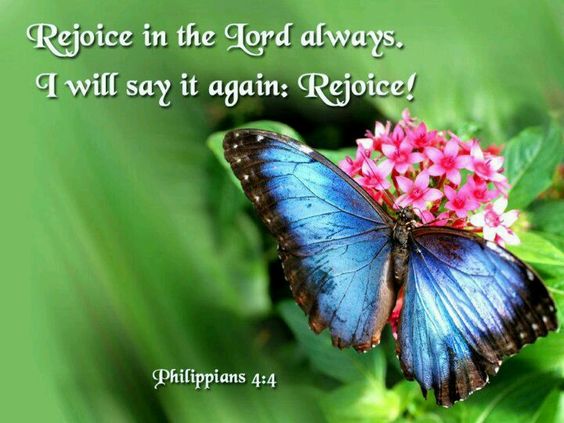 rejoice-in-the-lord-photo-from-web