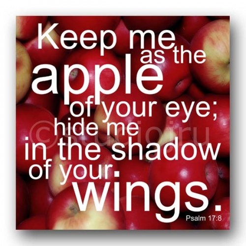 apple of eye scripture