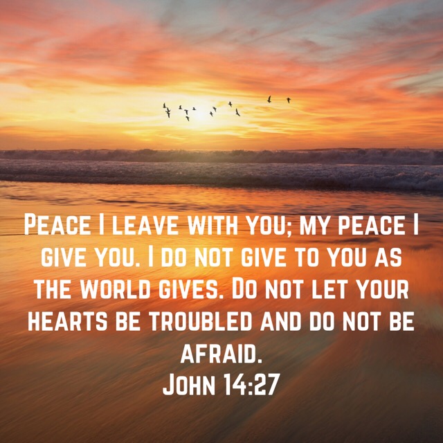 Thankfulness and Peace Scripture Image 2