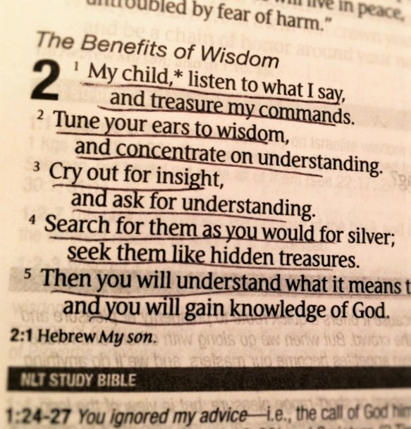 Proverbs 2. 1-6